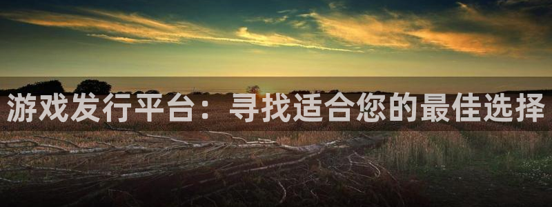 广州非凡游戏官网运动服：游戏发行平台：寻找适合您的最佳选择