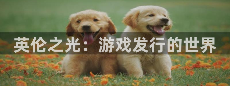 江苏非凡游戏官网智得