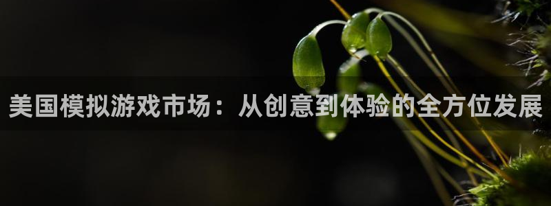 非凡游戏官网有什么寓意