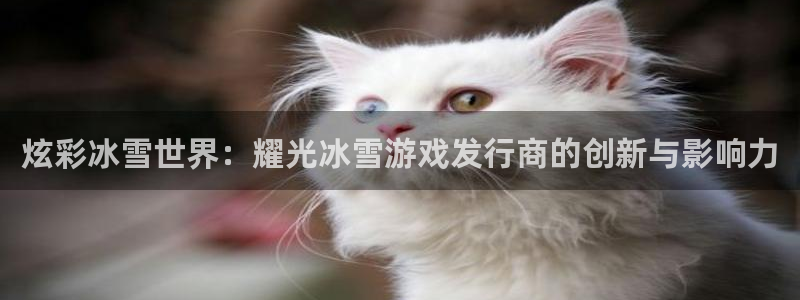 非凡游戏官网电子科技：炫彩冰雪世界：耀光冰雪游戏发行商的创新与影响力