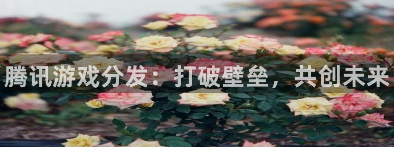 非凡游戏官网品牌服装：腾讯游戏分发：打破壁垒，共创未来