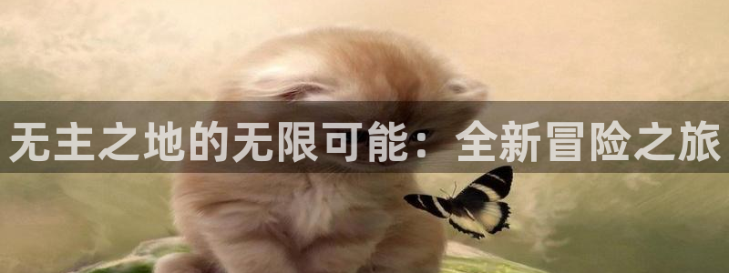 非凡游戏注册平台：无主之地的无限可能：全新冒险之旅