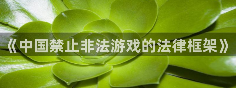 非凡游戏官网集团董事长刘一辰简历：《中国禁止非法游戏的法律框架》