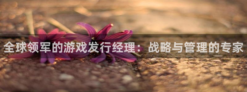 佛山非凡游戏官网电子商务：全球领军的游戏发行经理：战略与管理的专家