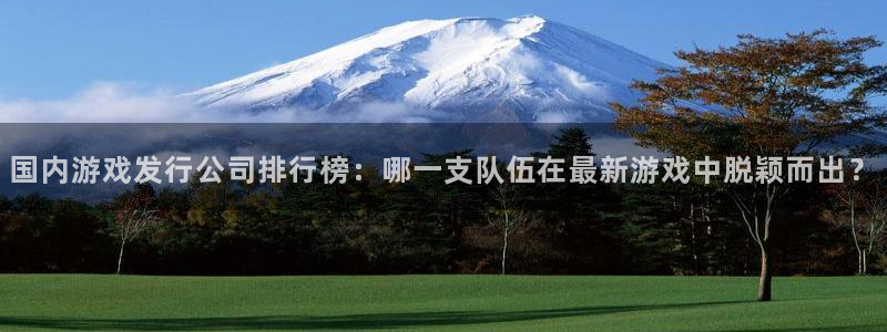 非凡游戏官网龙：国内游戏发行公司排行榜：哪一支队伍在最新游戏中脱颖而出？
