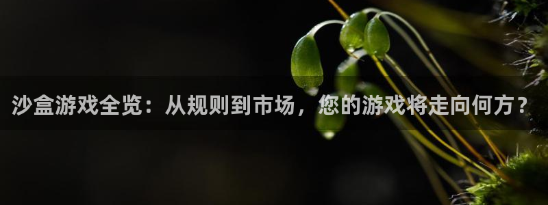 广州非凡游戏官网投资管理顾问有限公司：沙盒游戏全览：从规则到市场，您的游戏将走向何方？