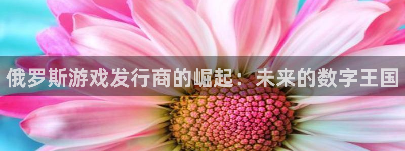 南京非凡游戏官网子电子商务有限公司：俄罗斯游戏发行商的崛起：未来的数字王国