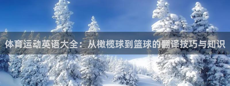 ug环球官网登录入口：体育运动英语大全：从橄榄球到篮球的翻译技巧与知识