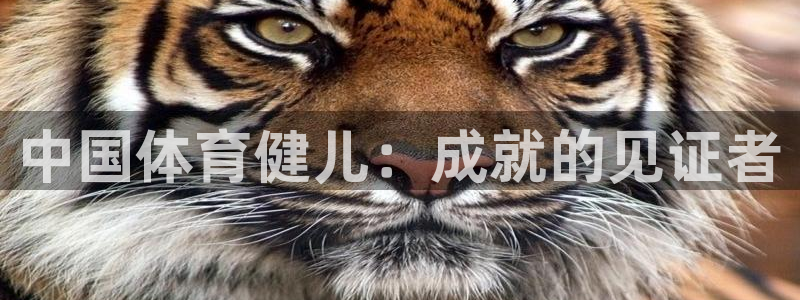 ug环球官网注册：中国体育健儿：成就的见证者