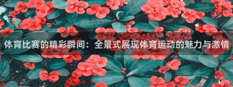 ug环球官网登录入口
