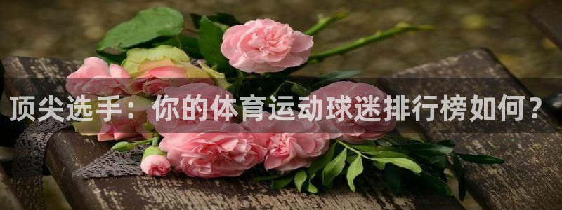 ug环球官网注册：顶尖选手：你的体育运动球迷排行榜如何？
